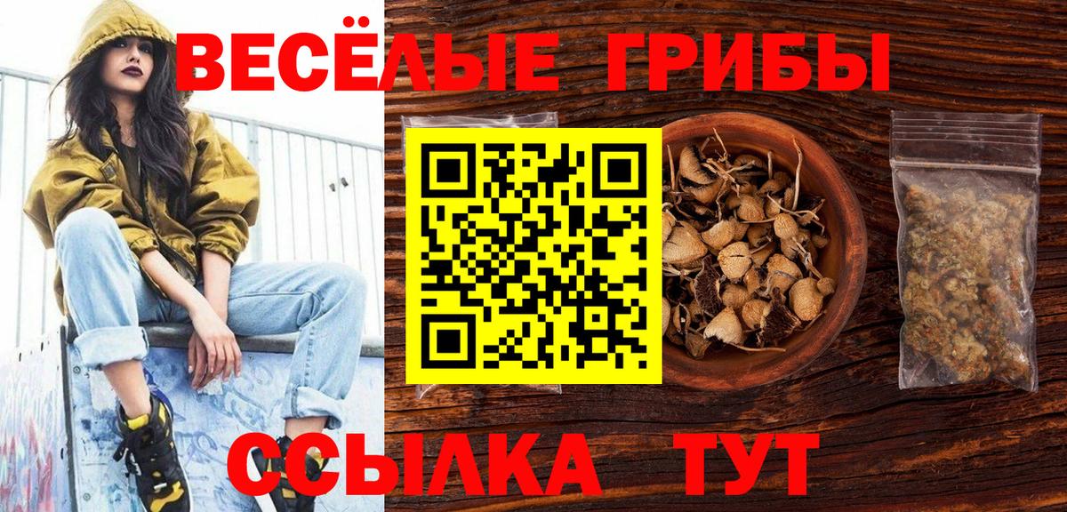 Псилоцибиновые грибы Cubensis Ржев