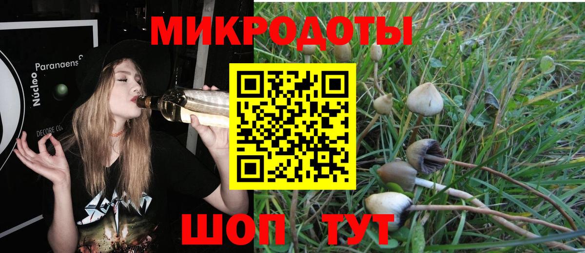 Псилоцибиновые грибы Magic Shrooms  Вход с VPN  Ржев 